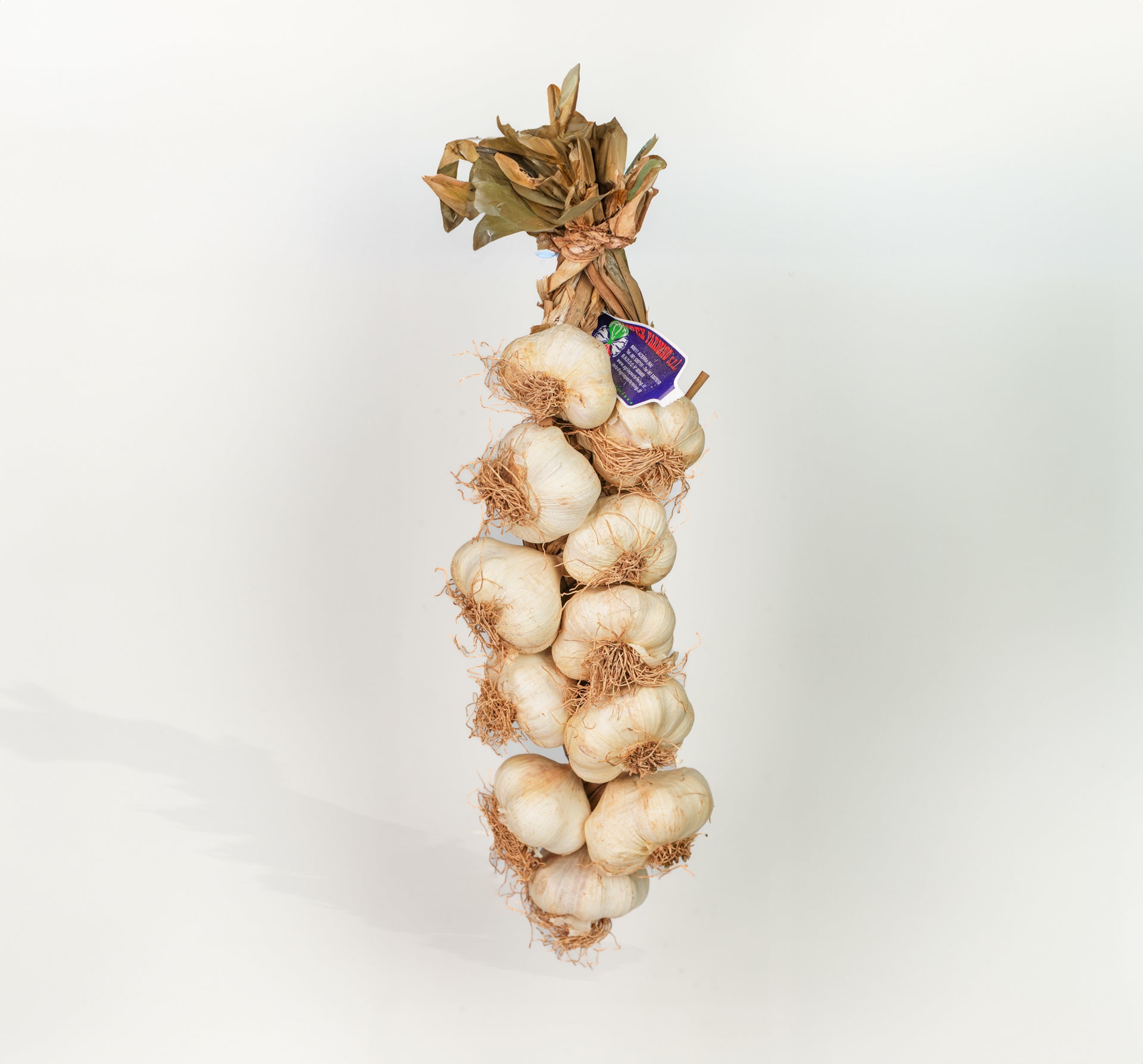 Aglio di Sulmona - 1 Kg