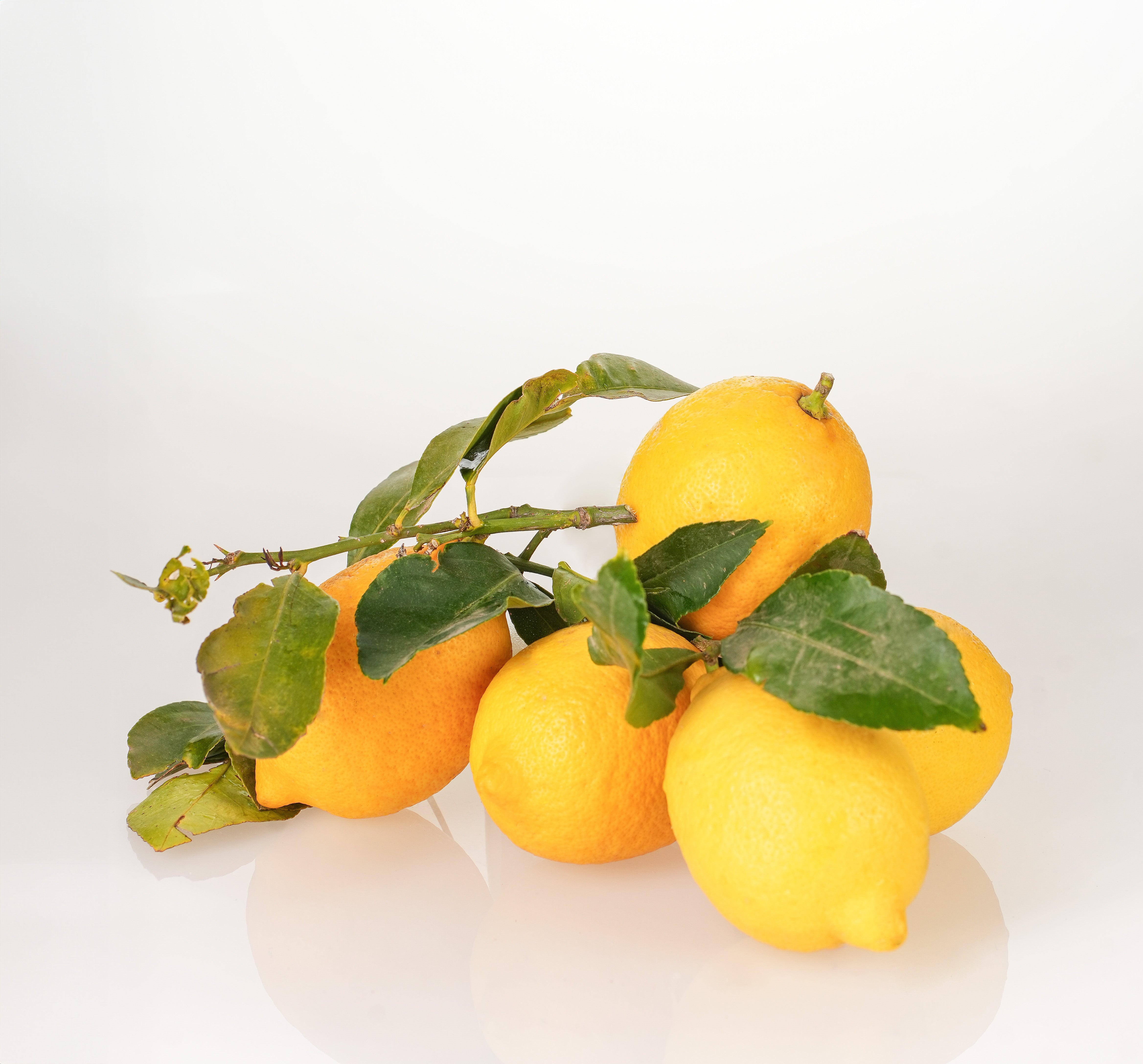 Limoni - 1 Kg