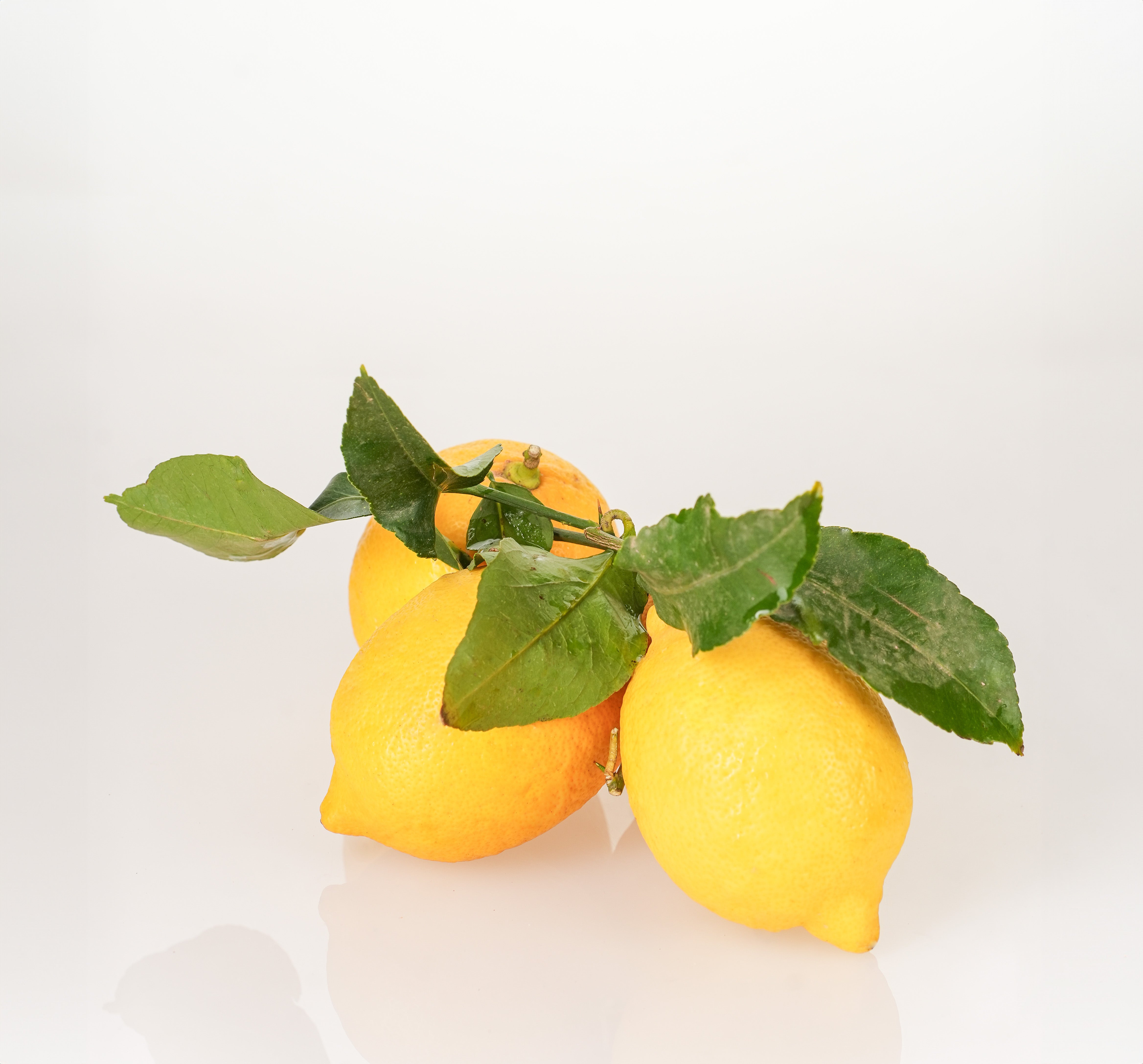 Limoni - 1 Kg
